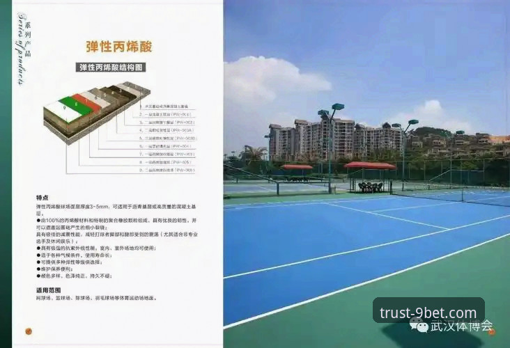 九博体育平台功能详解与使用指南