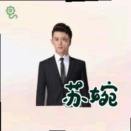 苏婉